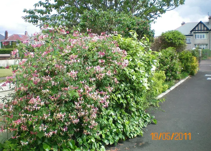 Aaranmore Lodge Guest House