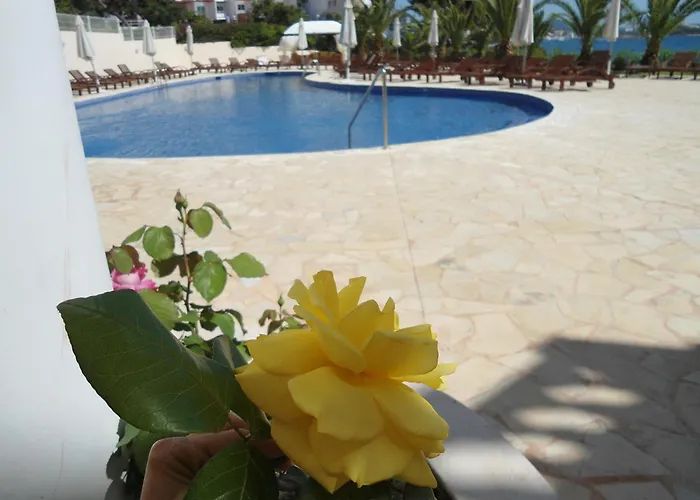 Luxe hotel: Grand Hotel Palladium Santa Eulalia Del Rio