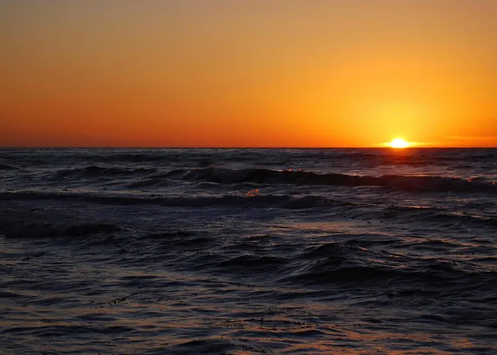 Hotel con piscina: Shore Hotel