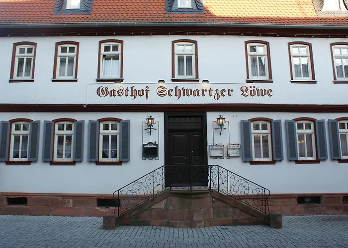 Hotel: Hotel Schwartzer Löwe