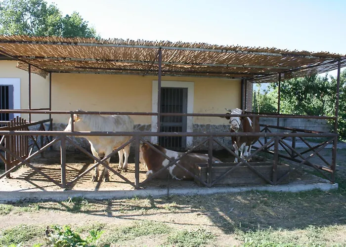 Casa vacanze: Azienda Agrituristica Vivi Natura