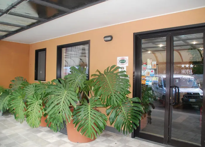 Albergo economico: Campus Hotel