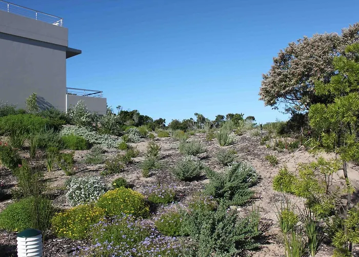 Robberg Beach - Lion Roars Hotels & s