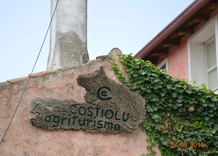 Costiolu