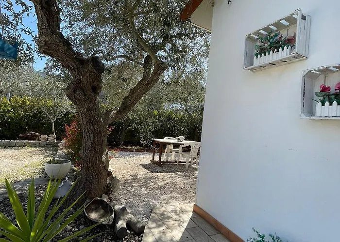 Villa Dama