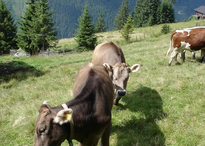 Farm Resort Geislerhof