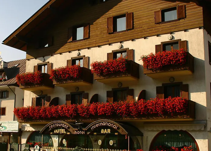 Hotel International
