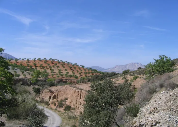 Cortijo La Estrella