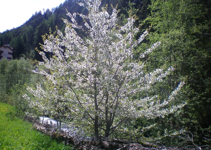 Villa Otto