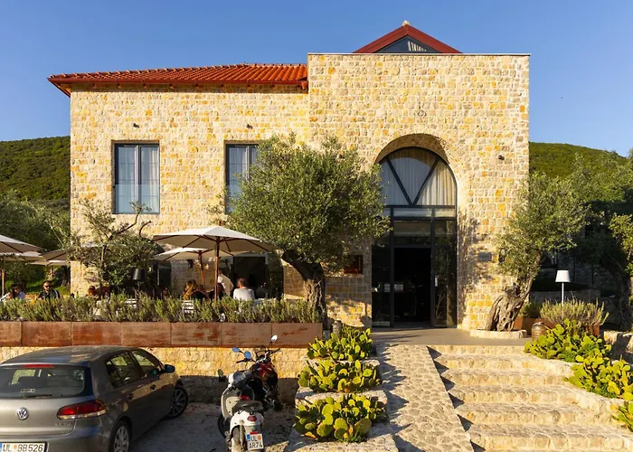 Mashtra - The Olive House