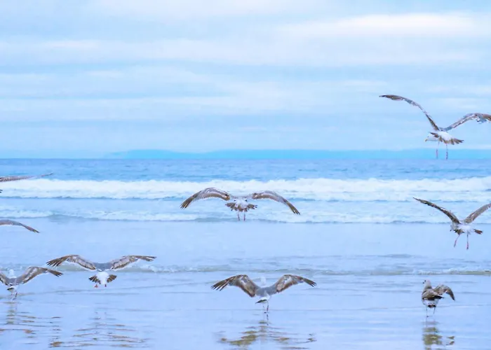 Garnekuul 35 - Car Free Park De Garnekuul Callantsoog Aan Zee
