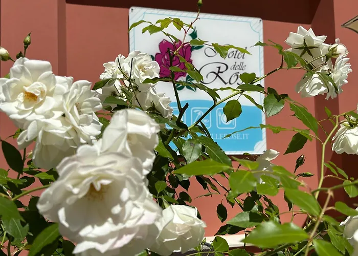 Hotel Delle Rose