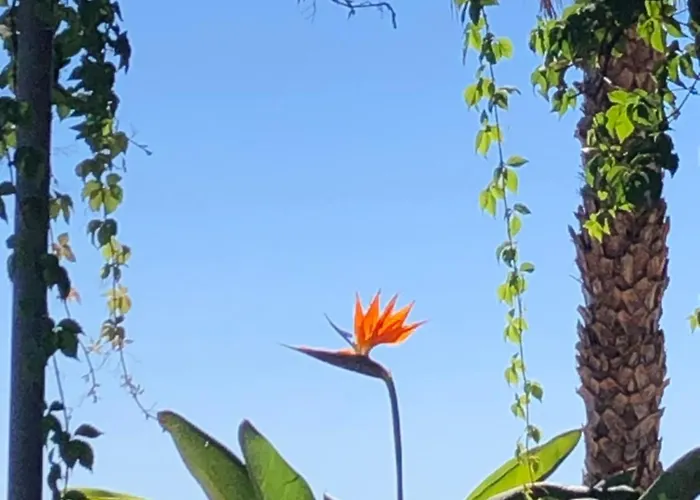 Santa Clara