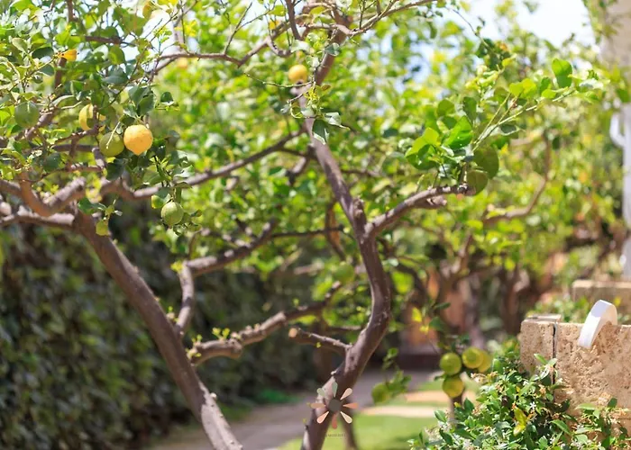Agriturismo tenuta Margherita