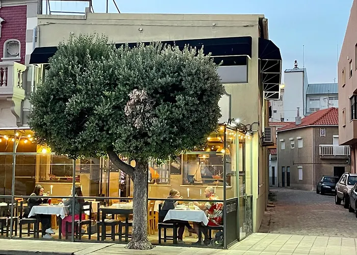 Hotel de praia: Aqui Há Gato