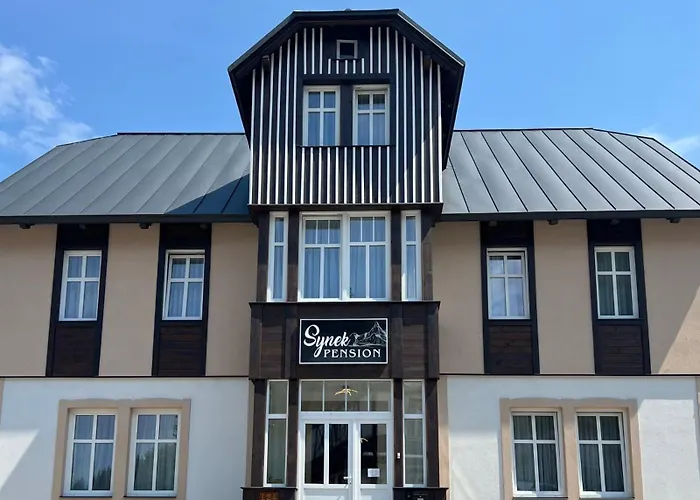  Synek Pension