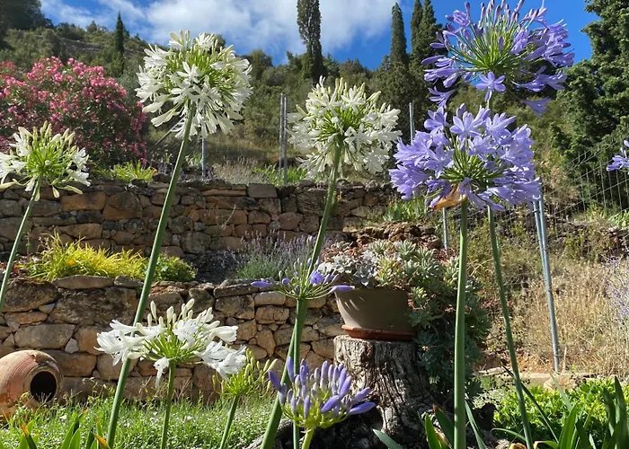 Apartamentos Casa Lola Beceite, vistas montaña y petfriendly