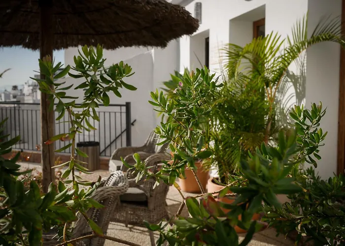 Chalet: Las Palmeras del Califa