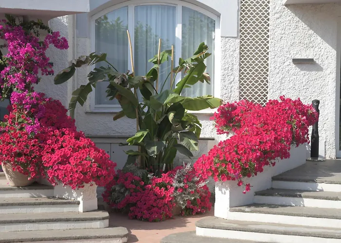 Hotel vicino al College: Bajamar Beach Hotel