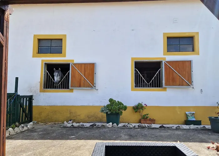Horse Riding Country House