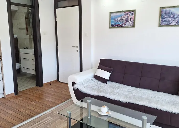Apartments Sokolovic