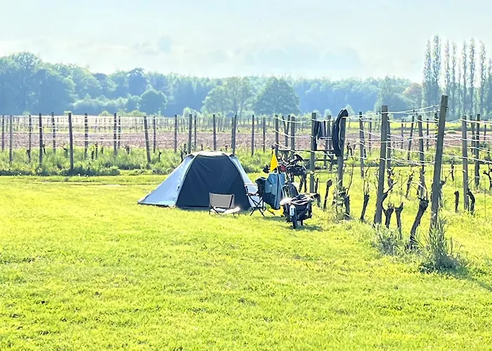 Familiehotel: Erve Zonnehoeve B&B en Wijngaard