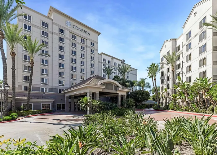 Sonesta Resort Area