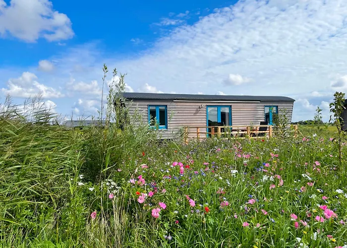 Schäferwagen Tiny House auf dem Friesenhof