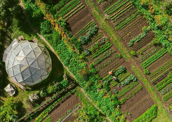 Areias Do Seixo Villas