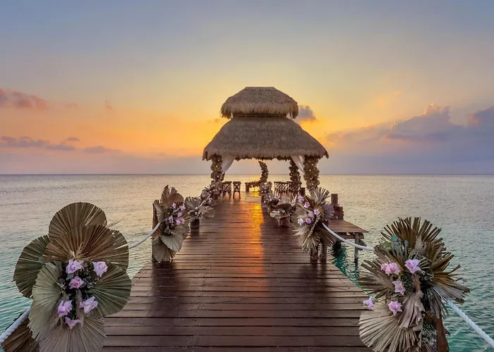 Hotel de luxo Apenas: Secrets Aura Cozumel - Adults Only