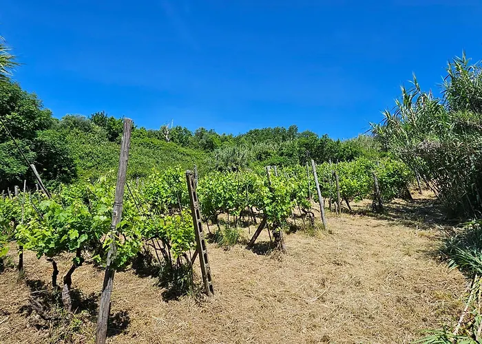 Poderi Lenzi