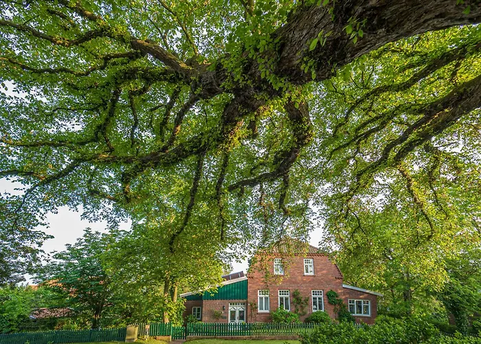 Appartementhaus Westerloog 18