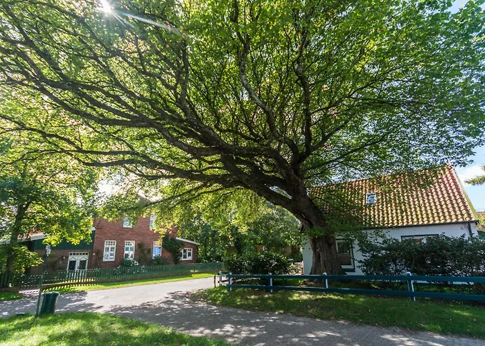 Appartementhaus Westerloog 20