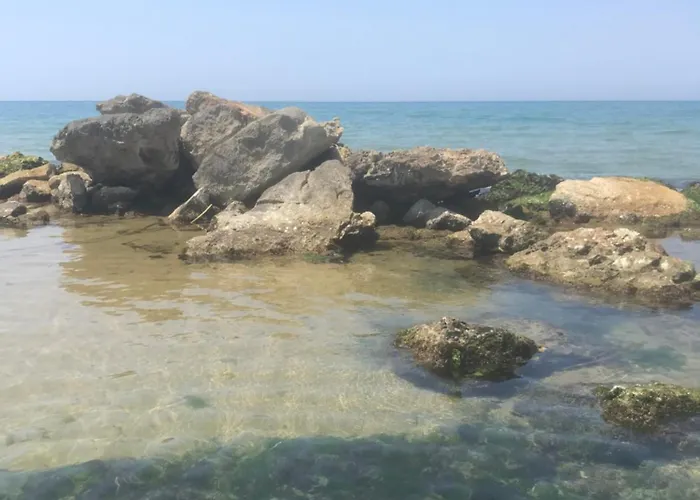 Il giardino degli aranci