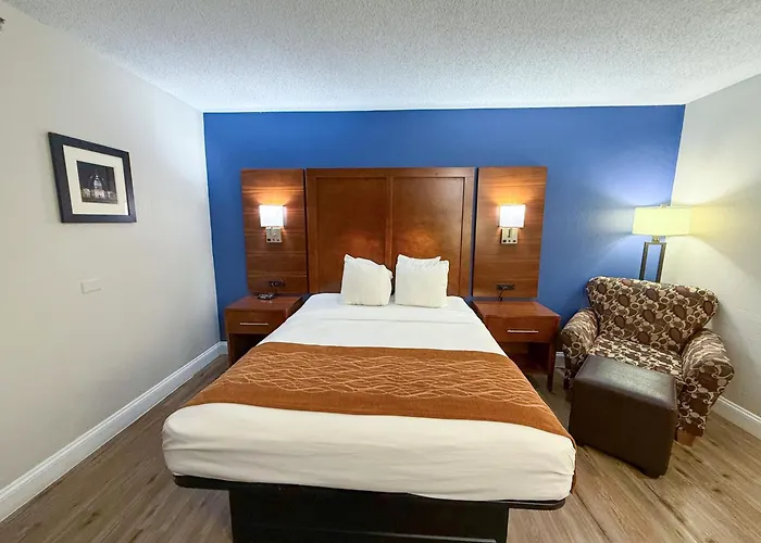 Hotel with pool: Comfort Inn & Suites Hazelwood - St Louis