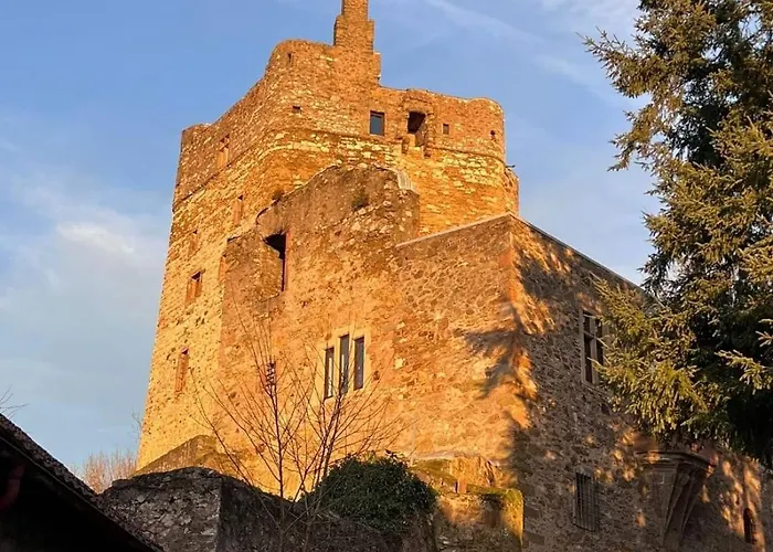 Burg Hermannstein - Kings