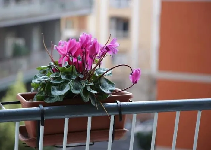 Casa vacanza: La Collina di Parthenope Vomero