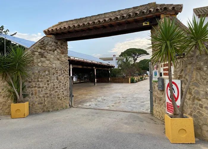 Dehesa Roche Viejo