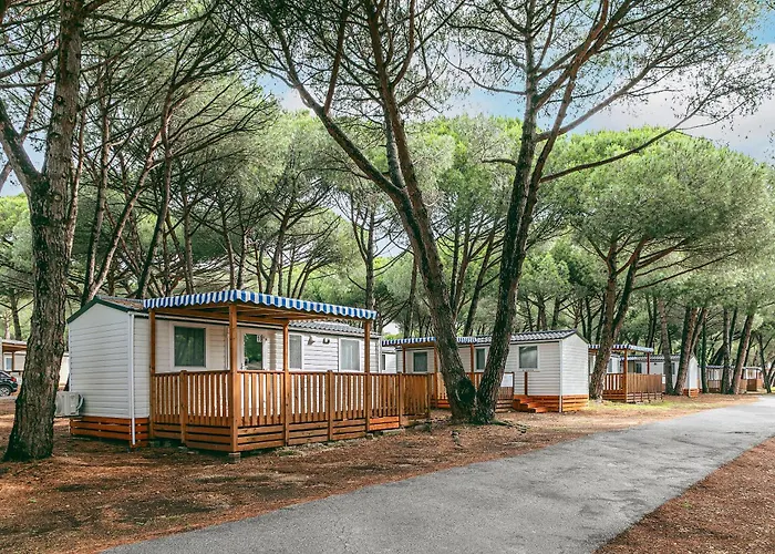  Albatross Mobile Homes On Camping Bi Village