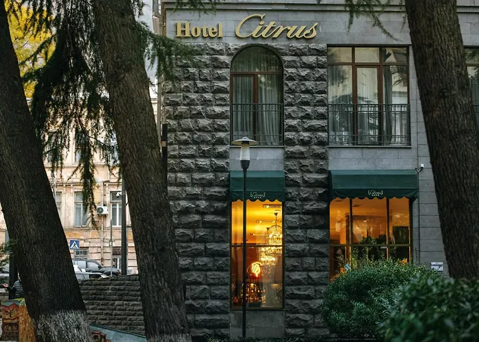 Central hotel: Citrus Hotel