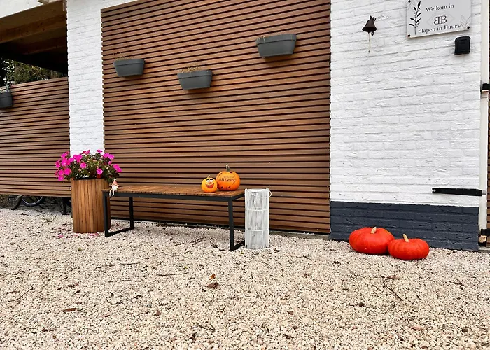 B&B slaap in Buurse