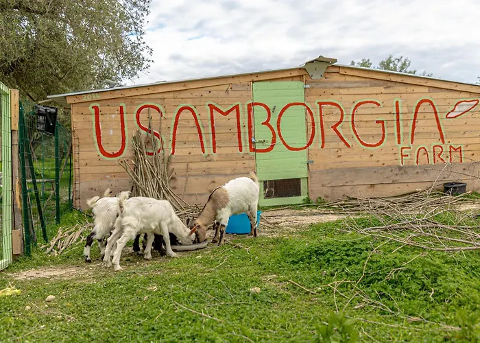 La villa: Masseria Usamborgia