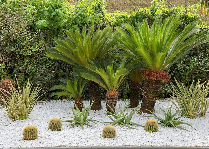 Hotel con piscina: Hotel I Gigli