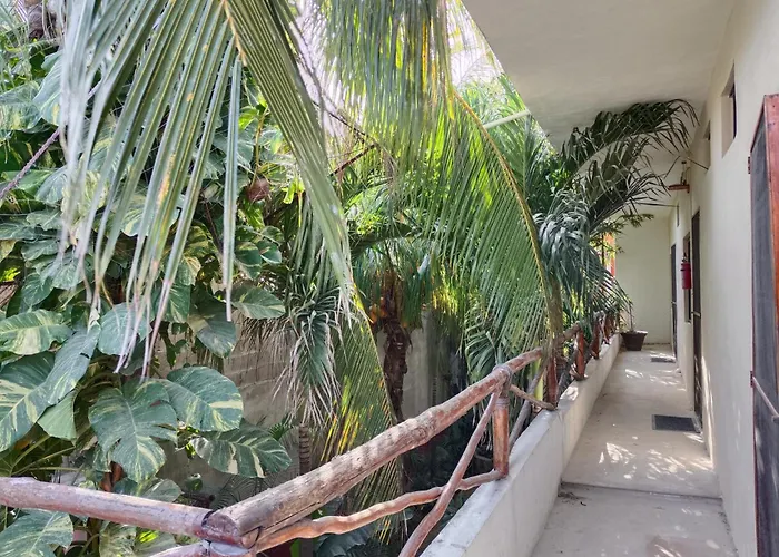 Casa Lupita