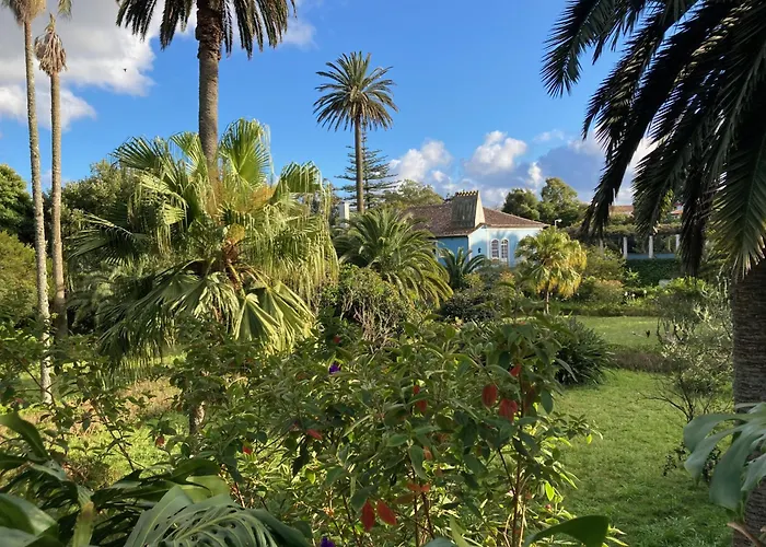 Hotel de 3 estrelas: Quinta Das Palmeiras