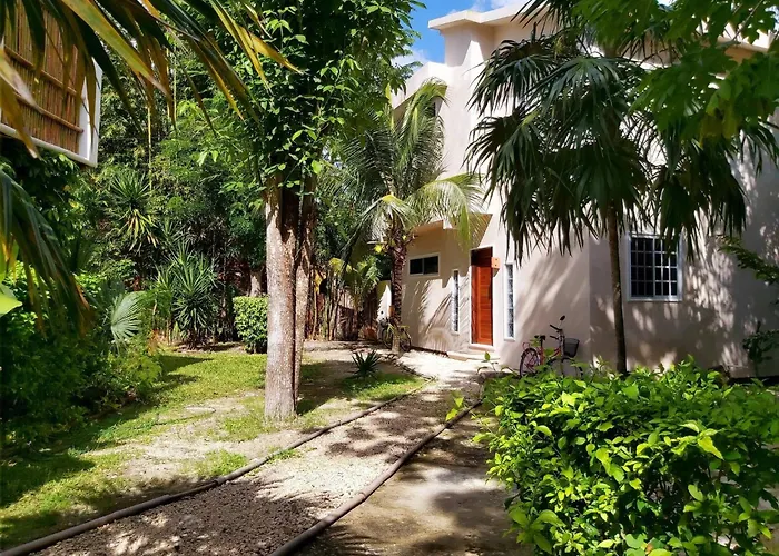 Mini Pini Birdwatching And Cenote Loft4 You Only