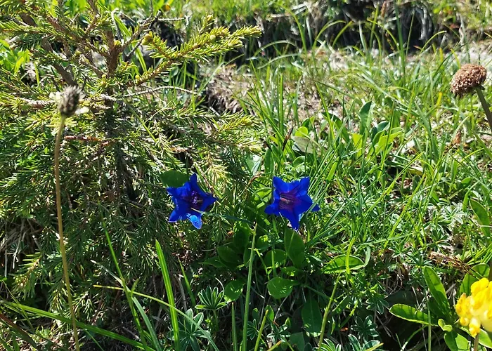 Jausenstation Neuschwand