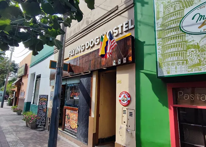 Flying Dog Hostel