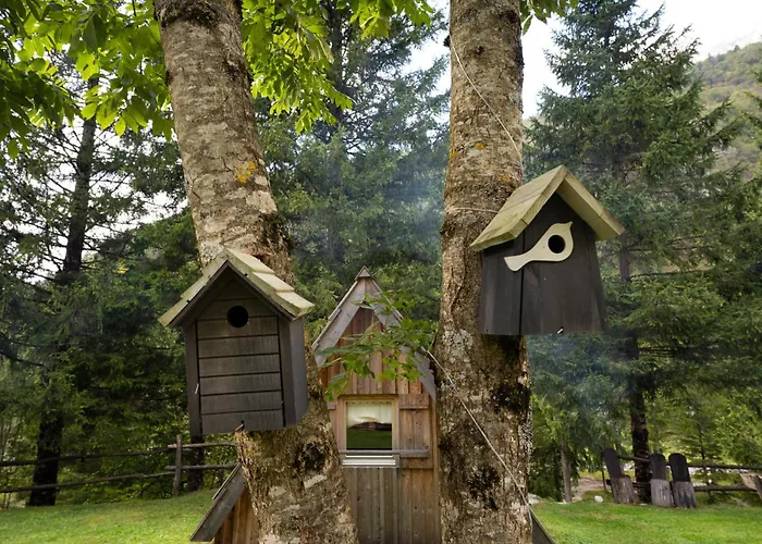 Camp Korita