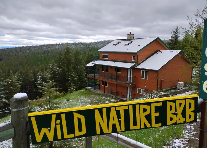 Cheap hotel: Wild Nature B&B
